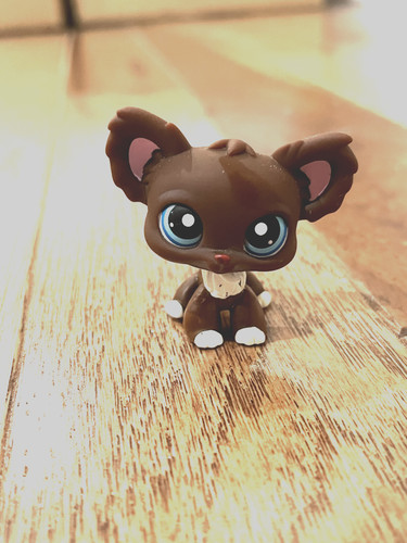 Littlest pet shop - littlest,