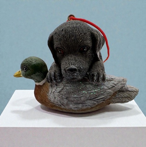 Hunting dog with - mallard, duck
