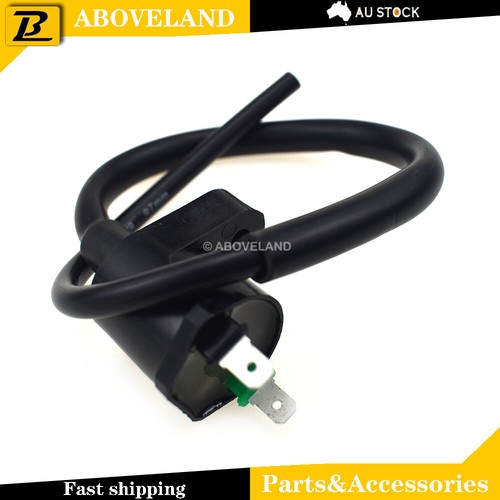 Ignition coil for - ignition,