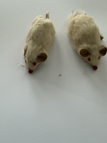Vintage pair original fur - vintage,