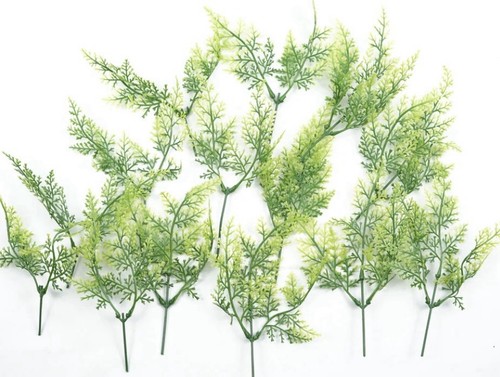 Replacement foliage for oil - for,