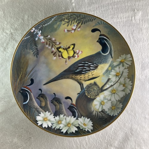 Maytime gambel quail plate - maytime,