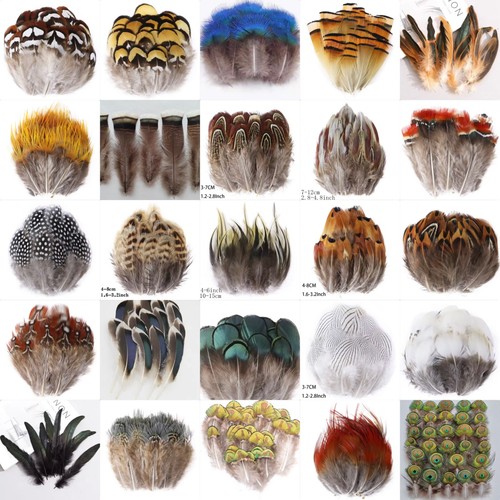 Types natural feathers - types,