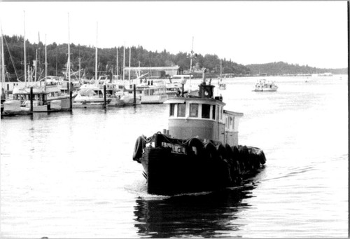 Pacific coast tugboat malolo - coast,