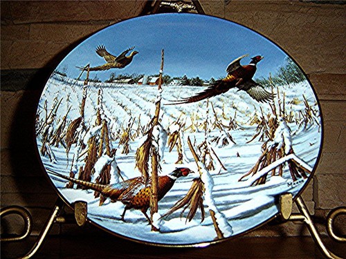 Startled ringnecks the david - startled,