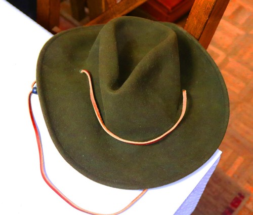 Official boy scouts - scouts, scout