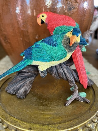 Rare double parrot - rare,