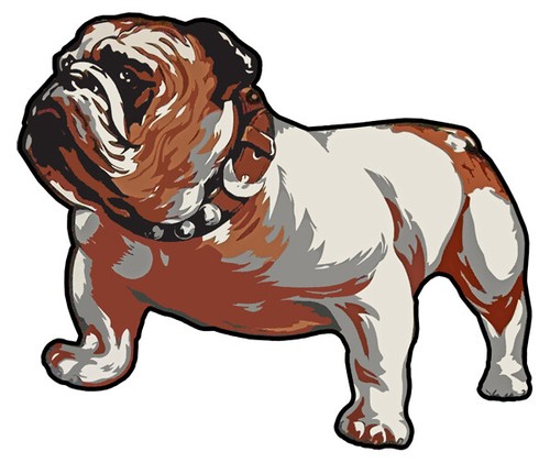 Mack truck bull dog - mack,