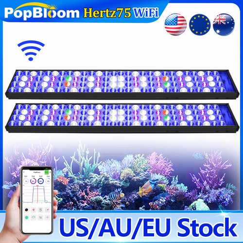 Popbloom h75 marine aquarium - marine,