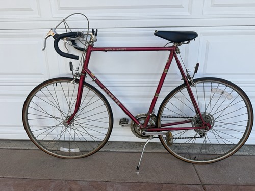 1980s schwinn world - sport, tall
