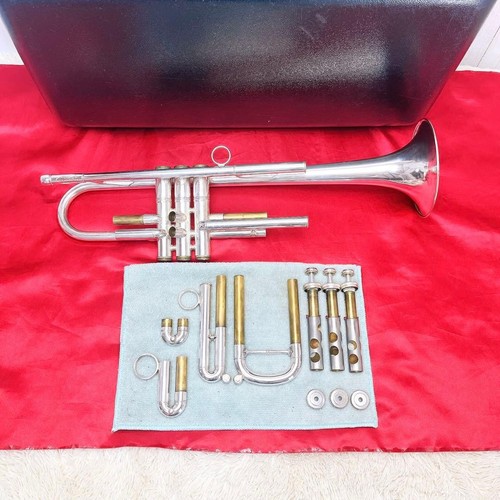Carol brass zorro trumpet - zorro, with