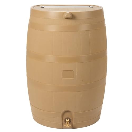 Rts home accents gallon - rts,