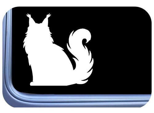 Maine coon cat sticker decal - maine,