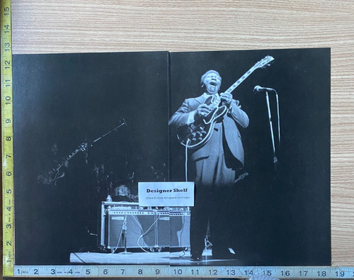 King with guitar lucille - guitar, 2
