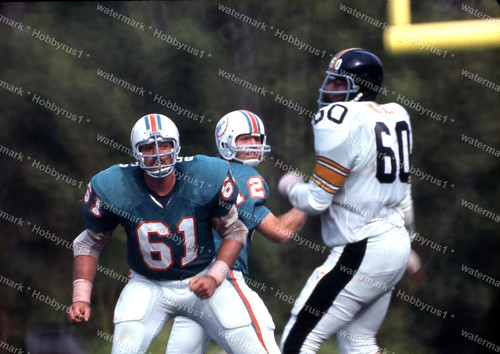 Miami dolphins bob - miami,