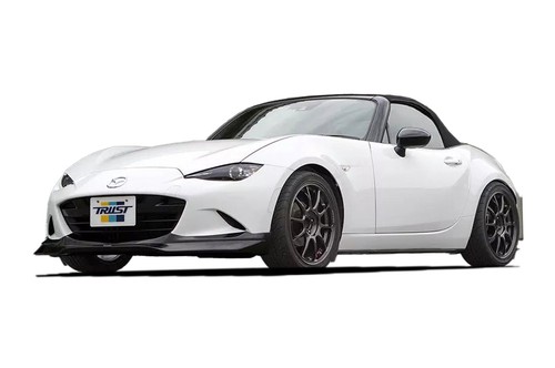 Greddy 17040141 front - front, lip