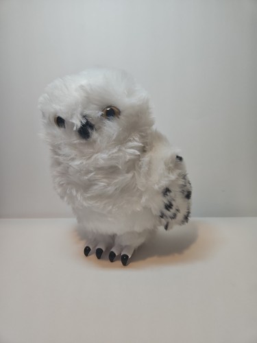 Hedwig harry potter - hedwig,,
