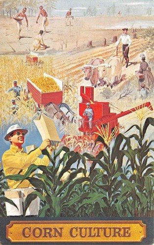 Lincoln nebraska corn - lincoln,,