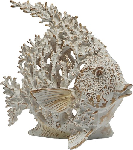 Beach coastal coral reef - coastal,