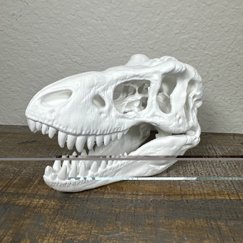 Rex tyrannosaurus - t-rex,