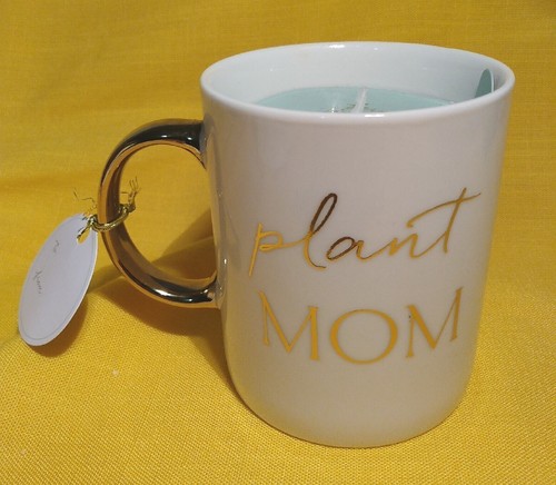 Bloom prosper plant mom - &, mom"