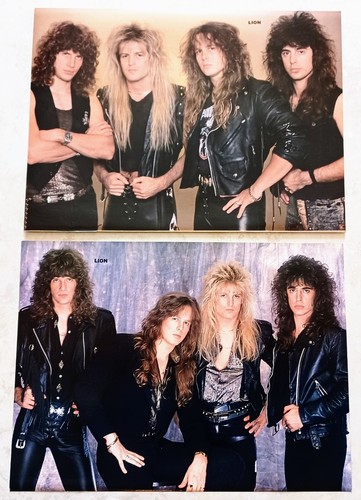 Lion poster lot vtg - poster, 1989