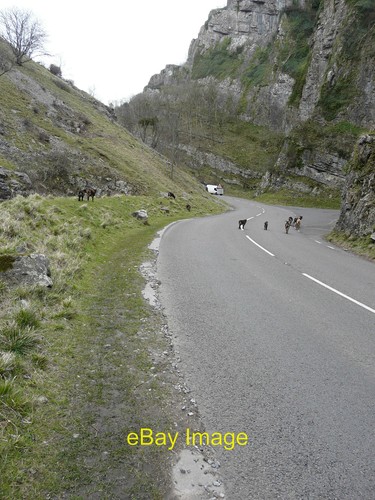 Photo 12x8 soay sheep cliff - sheep,
