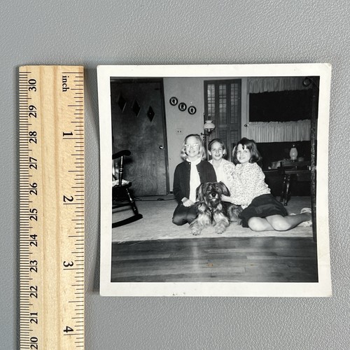 Vtg 1967 girls pet terrier - 1967,