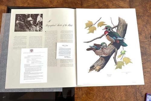 Don eckelberry 1970 signed - 1970,