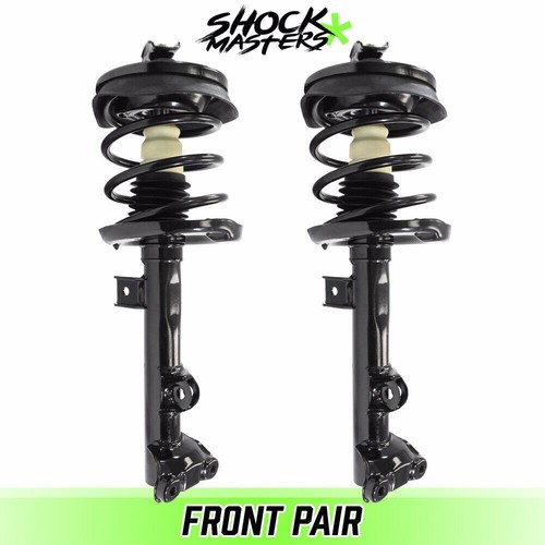 Front pair complete struts - front,