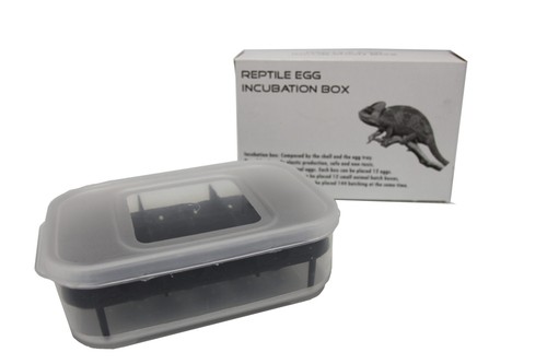 Gecko egg incubation container - gecko,