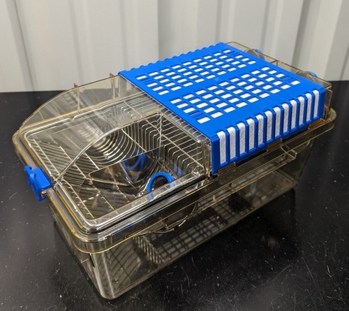 Tecniplast laboratory rodent - laboratory,