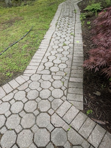 Brick pavers free - brick,