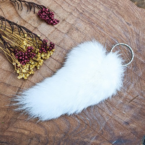 Rabbit rex bunny - rabbit, tail