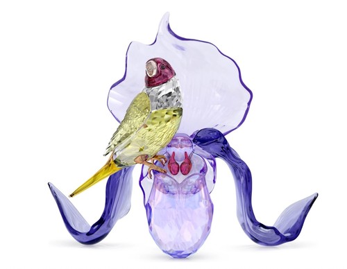 Swarovski idyllia gouldian - swarovski,
