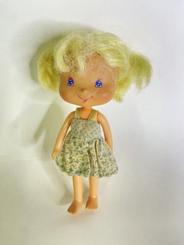 Strawberry shortcake berry - strawberry,