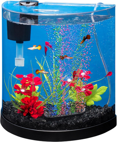Tetra half moon - 3, gallon