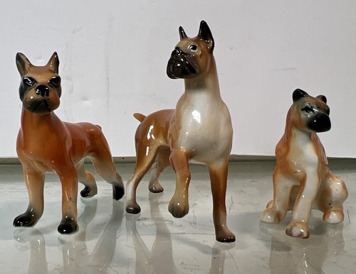 Miniature middle dog - miniature, is