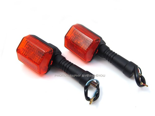 Pair rear turn signal - pair,