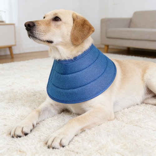 Large sized soft - large-sized, cone