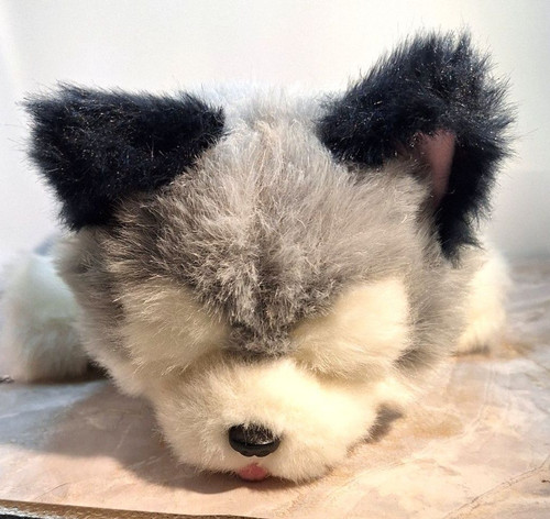 Little live pets - little, husky