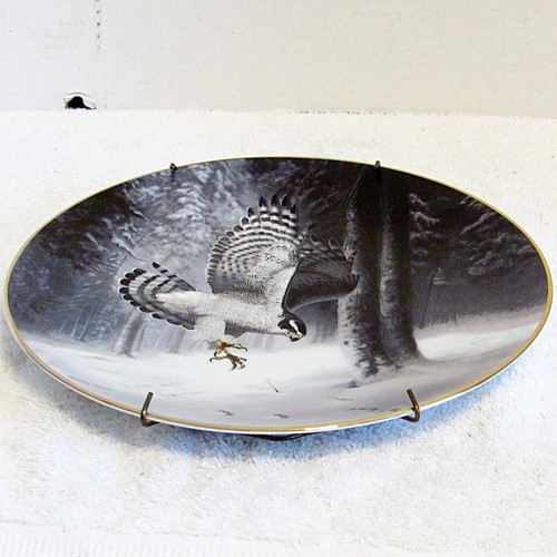 The northern goshawk - the, plate