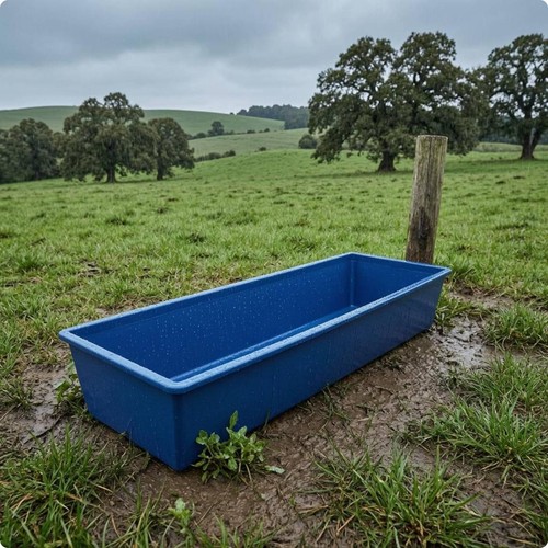 Cattle trough wide - wide, easy
