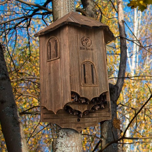 Wooden bat house - bat,