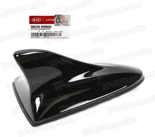 Genuine shark fin - genuine,