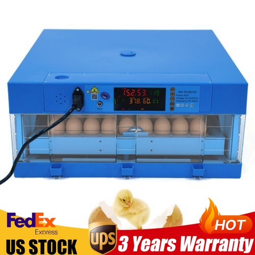 Eggs digital incubator - 48, with