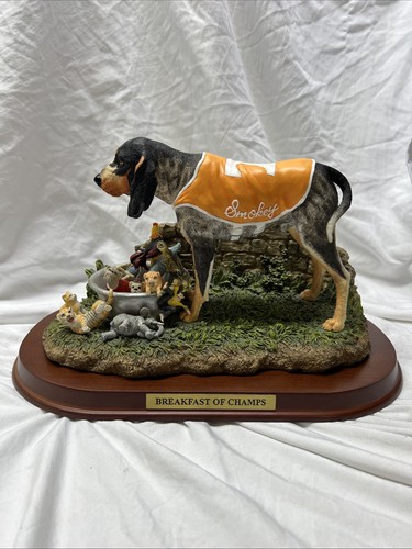 Tennessee volunteers - tennessee,