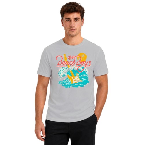 The beach boys surf - the,