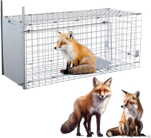 Inch live animal trap - 42,