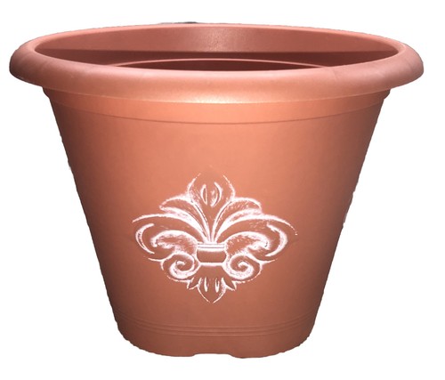 Garden collection flower plant - collection, flower/plant